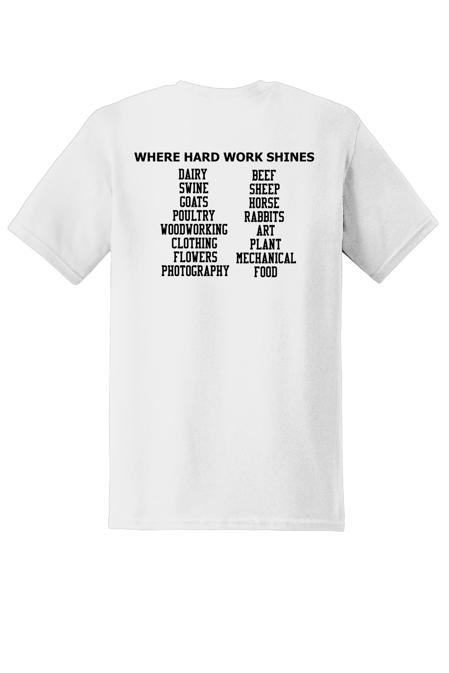 Lincoln County Fair T-Shirt
