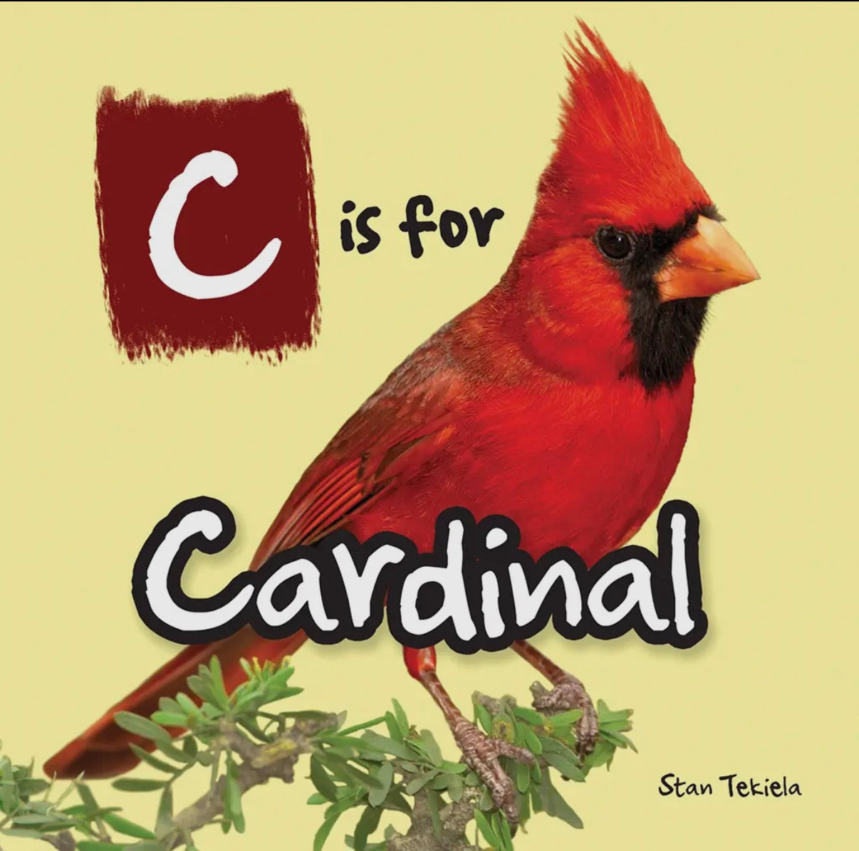 C is for Cardinal