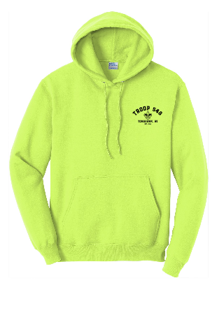 Boy Scout Hoodie